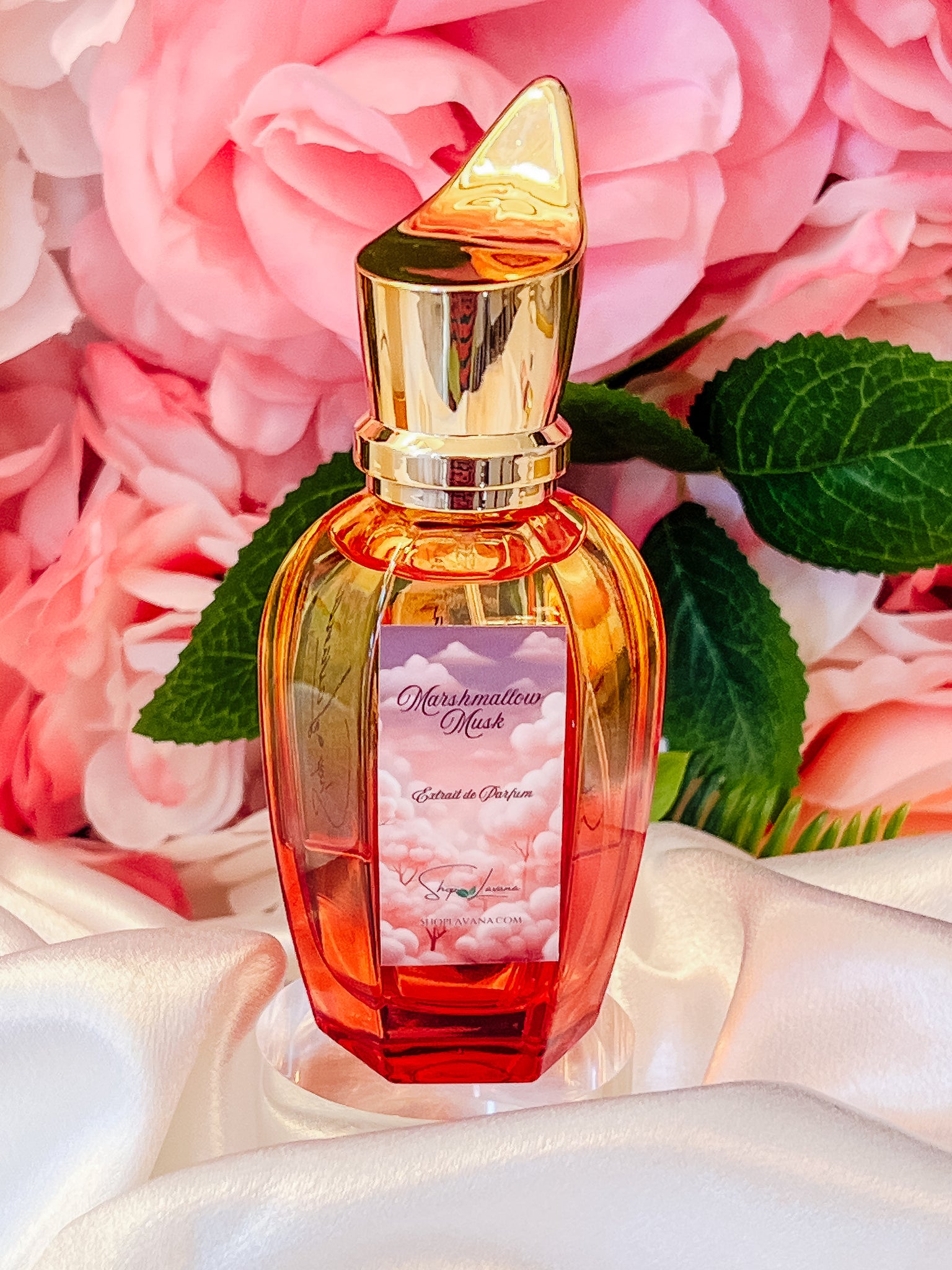 Facebook Miniso Blooming Bouquet Eau De Parfum Miniso Perfume On