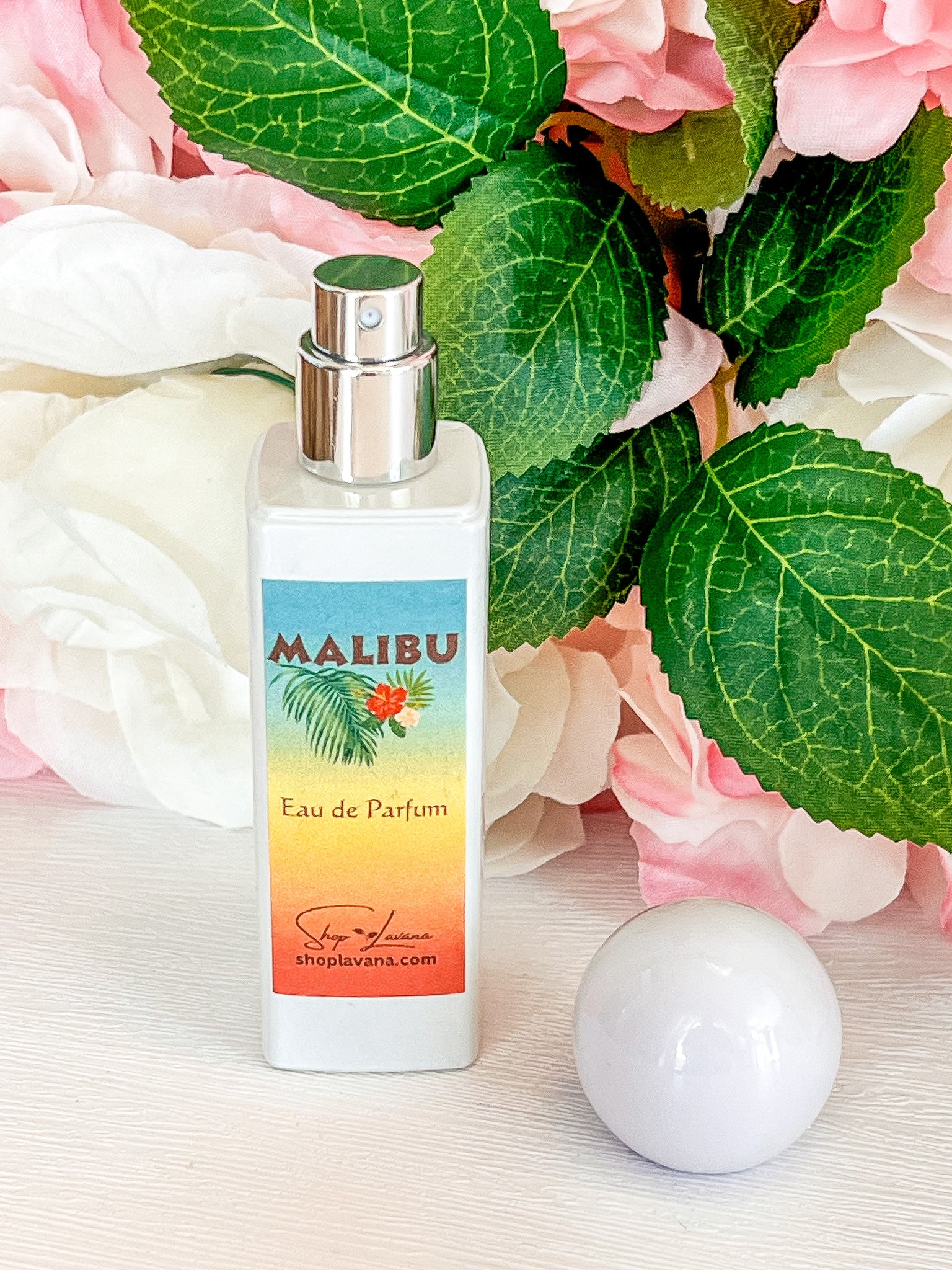 Malibu heat 2025 perfume